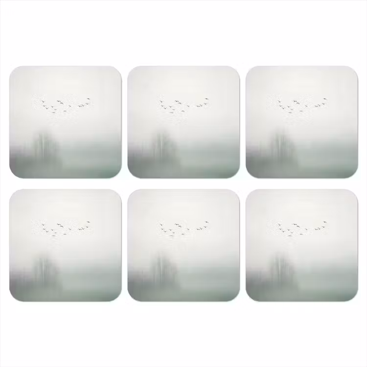 Onderzetter - Vogel - Vlucht - Natuur - Minimalistisch — 1