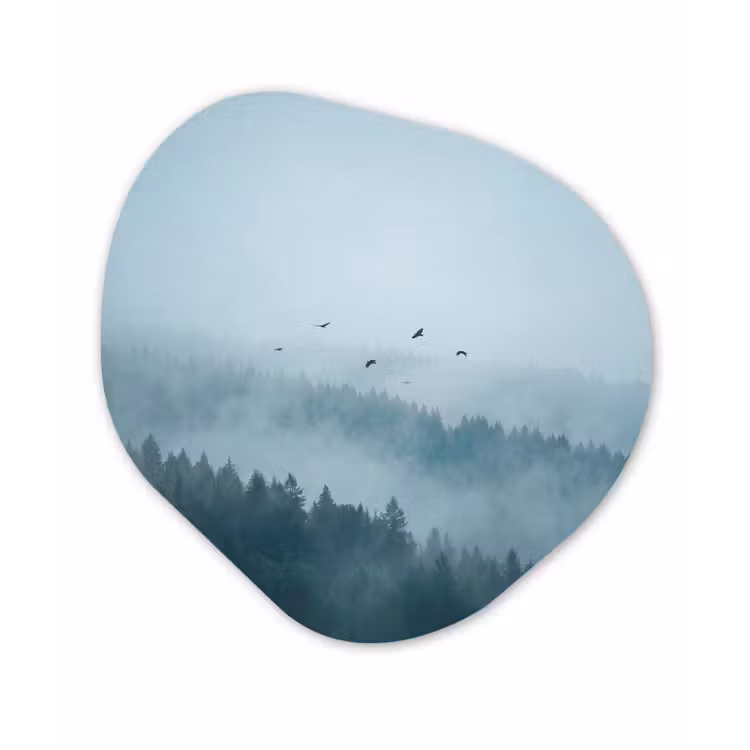Organisch schilderij - Forex - Bos - Mist - Vogels - Natuur - Groen — 1