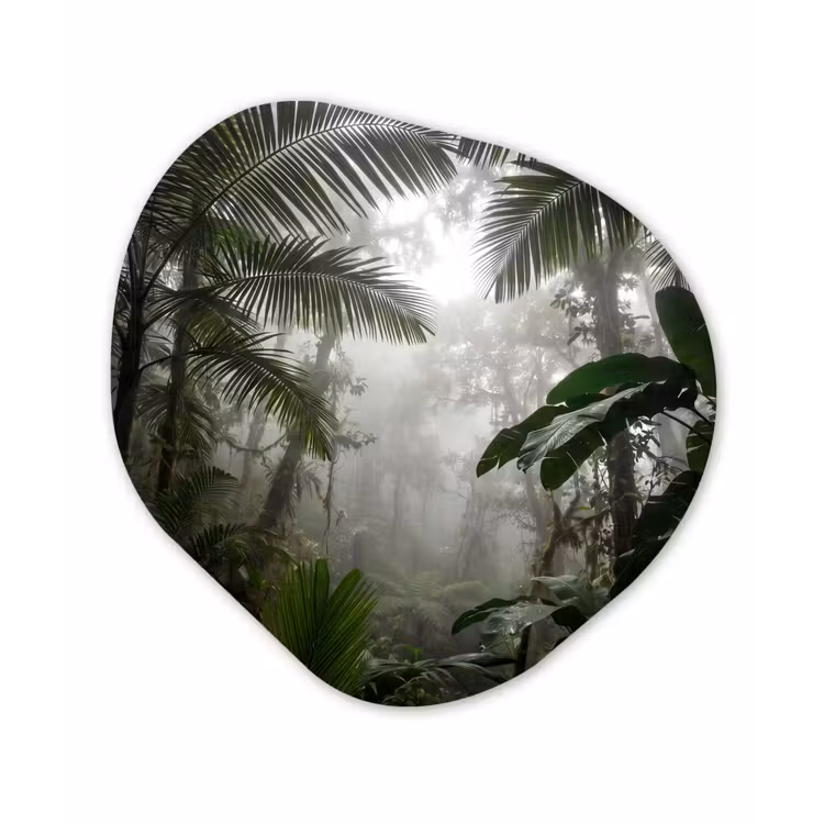 Organisch schilderij - Forex - Natuur - Jungle - Mist - Groen - Bladeren — 1