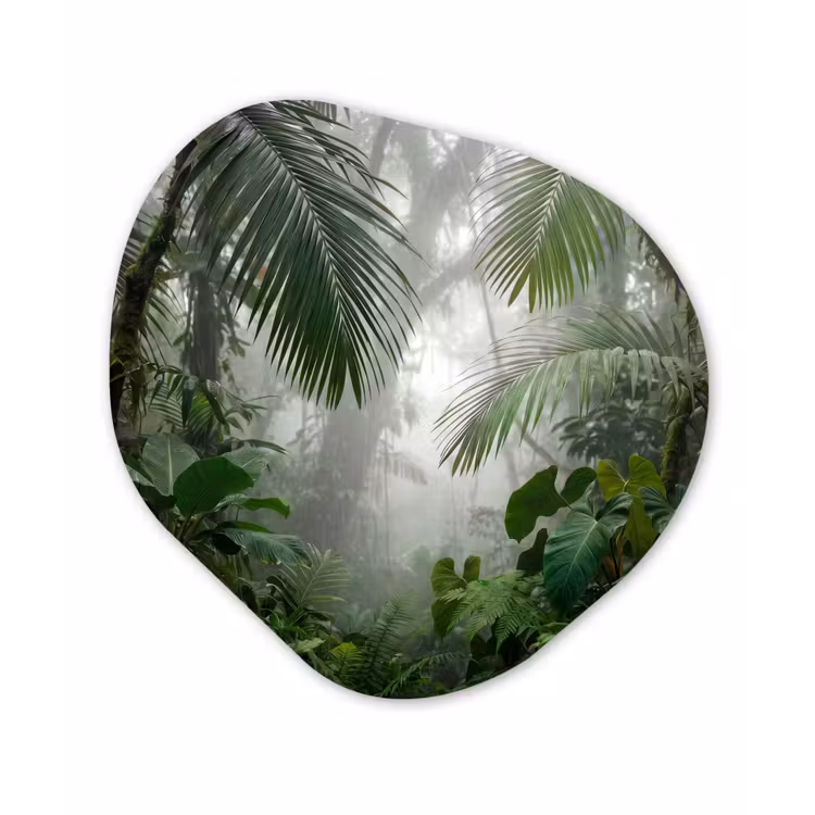 Organisch schilderij - Forex - Natuur - Jungle - Mist - Tropisch - Groen — 1