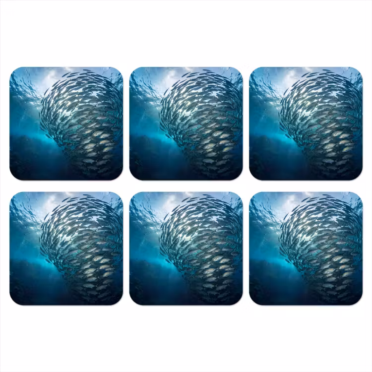 Onderzetter - Vis - School - Oceaan - Natuur - Blauw — 1