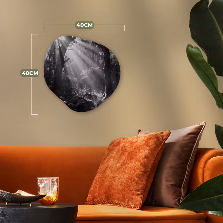 Organisch schilderij - Forex - Bos - Lichtstralen - Natuur - Zwart-wit — 4