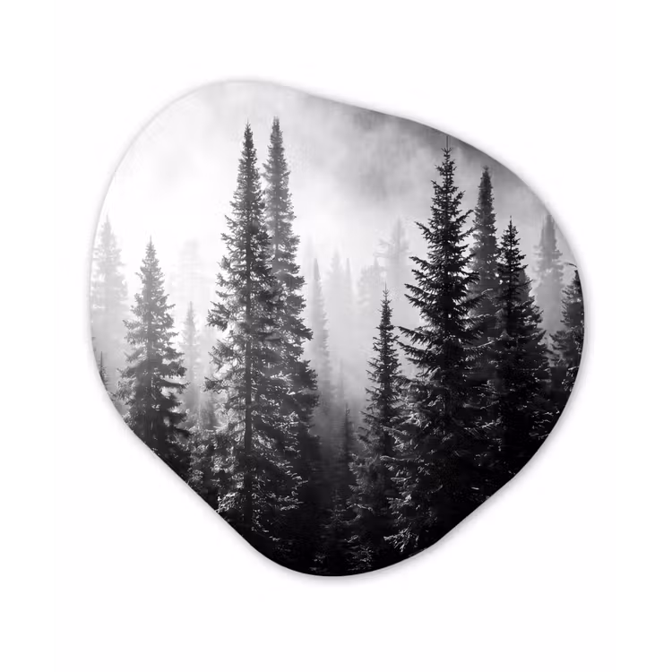 Organisch schilderij - Forex - Bos - Mist - Winter - Monochroom - Natuur — 1