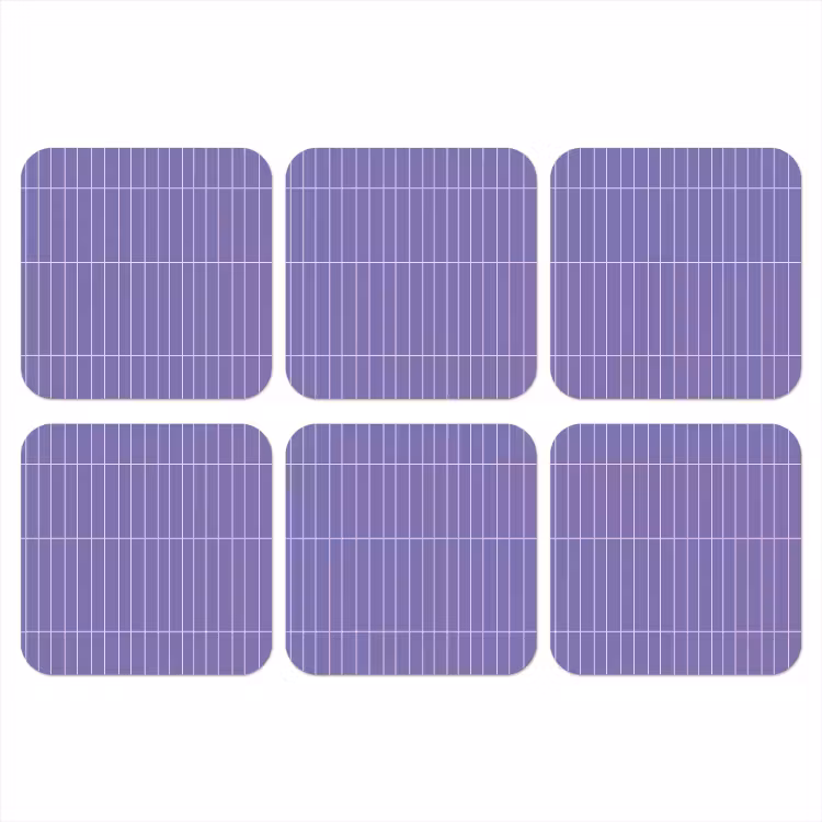 Onderzetter - Patroon - Tegel - Lila — 1