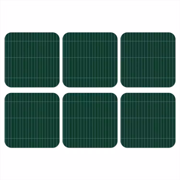 Onderzetter - Patroon - Tegels - Donkergroen — 1