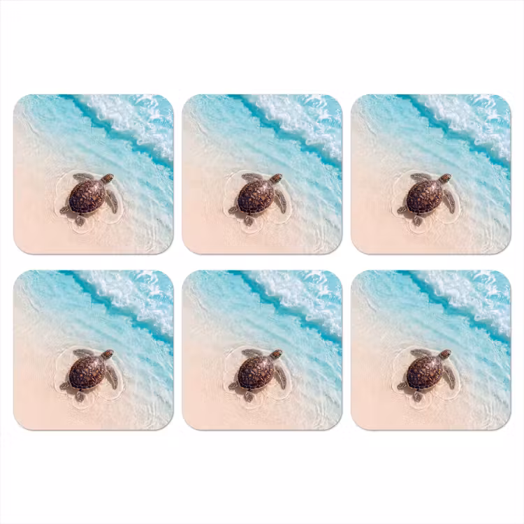Onderzetter - Schildpad - Helder water - Strand - Dieren - Natuur — 1