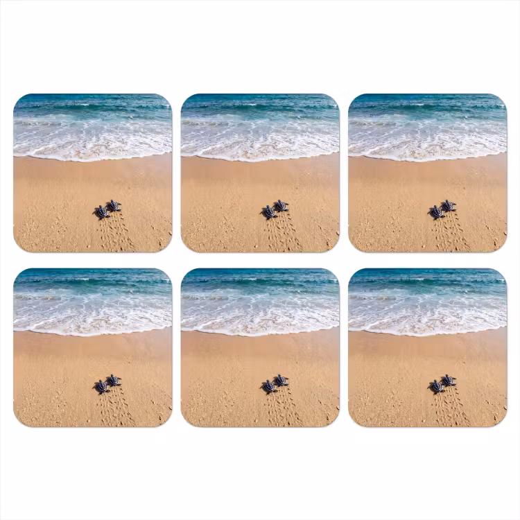 Onderzetter - Schildpad - Jong - Strand - Oceaan - Blauw — 1