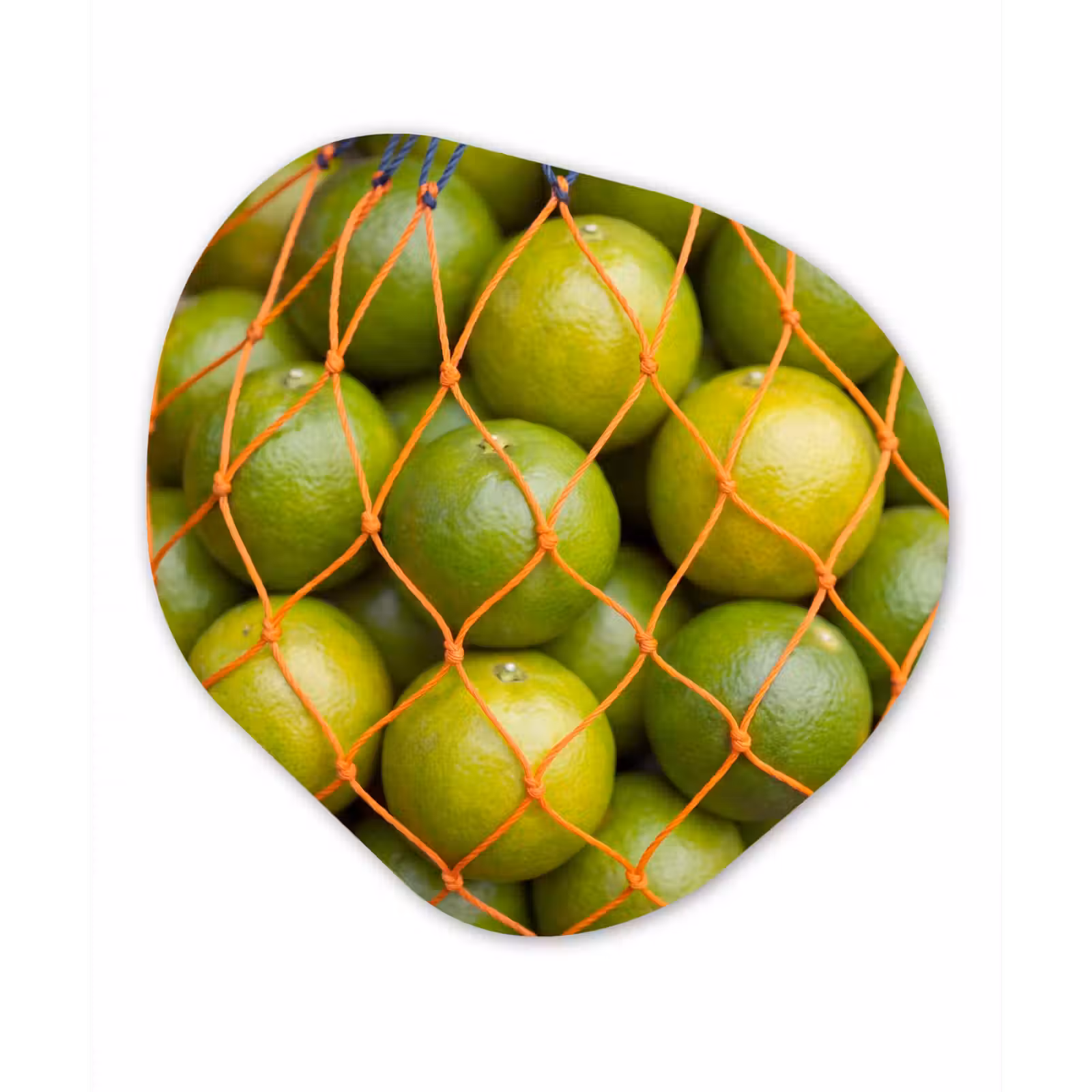 Organisch schilderij - Forex - Eten - Net - Groen - Markt — 1
