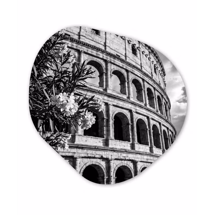 Organisch schilderij - Forex - Architectuur - Colosseum - Rome - Historisch - Zwart-wit — 1
