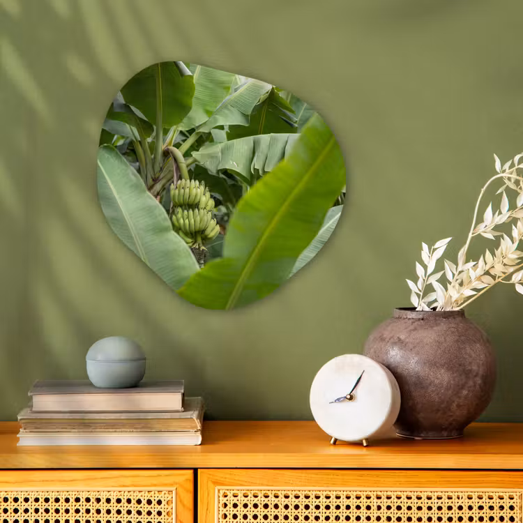 Organisch schilderij - Forex - Eten - Bananen - Plantage - Groen — 2