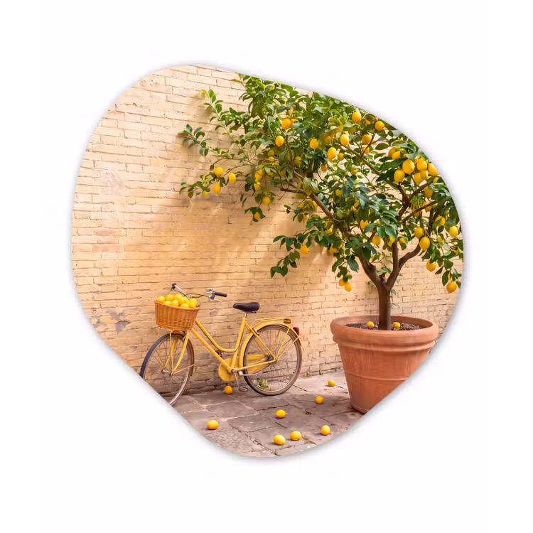 Organisch schilderij - Forex - Fiets - Mand - Eten - Geel - Zomer — 1