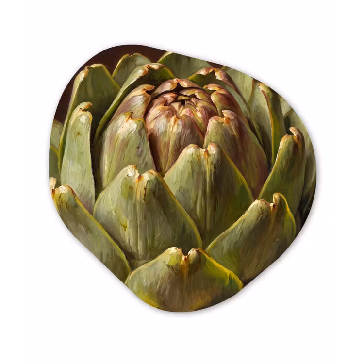 Organisch schilderij - Forex - Groente - Artisjok - Groen — 1