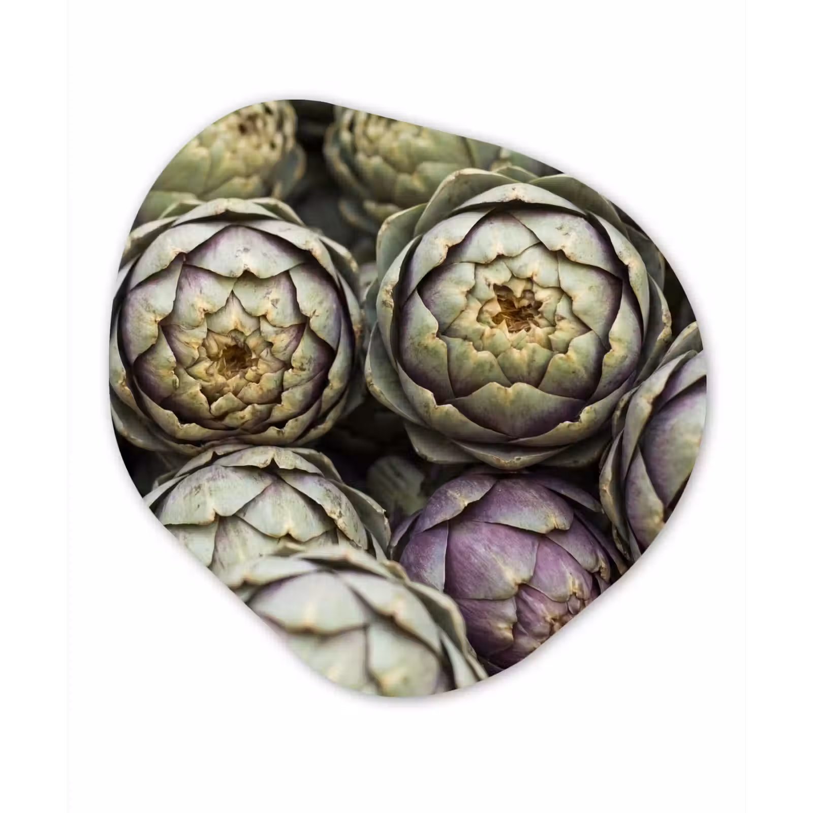 Organisch schilderij - Forex - Groenten - Vers - Eten — 1