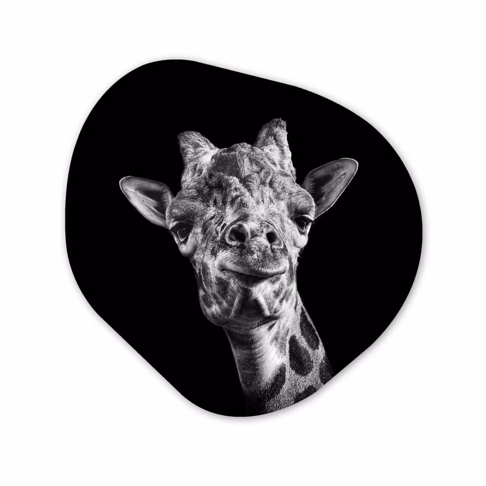 Organisch schilderij - Forex - Giraffe - Dier - Zwart - Wit — 1