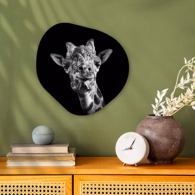 Organisch schilderij - Forex - Giraffe - Dier - Zwart - Wit — 2
