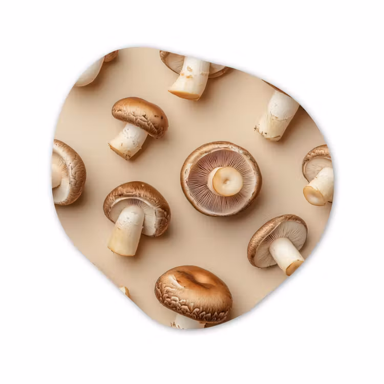 Organisch schilderij - Glas - Kastanje Champignons - Beige — 1
