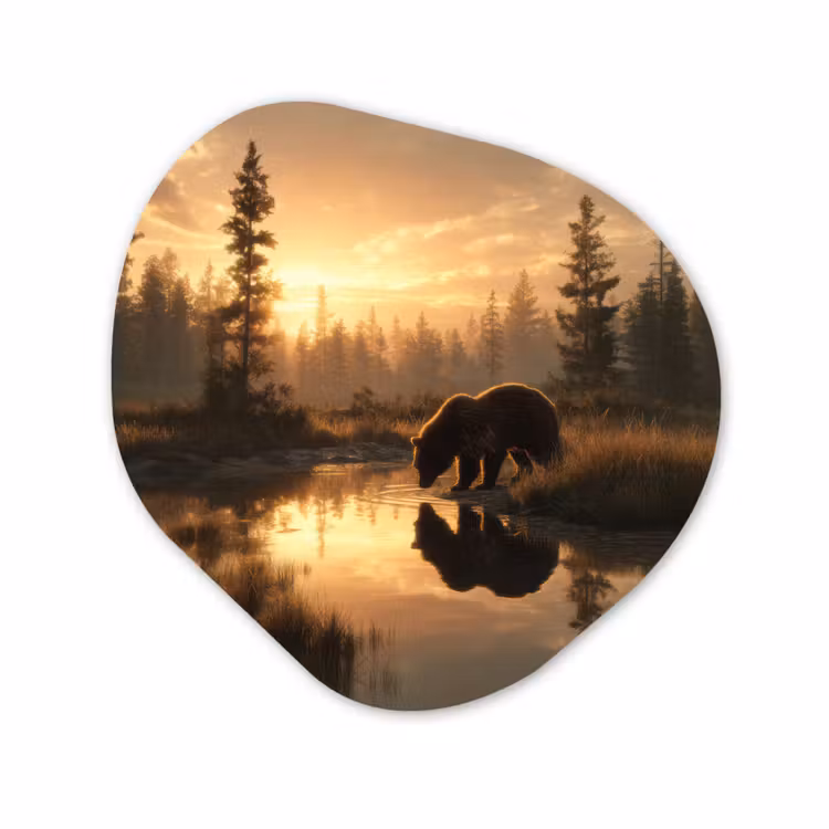 Organisch schilderij - Forex - Beer - water - Bos - Ochtendlicht — 1