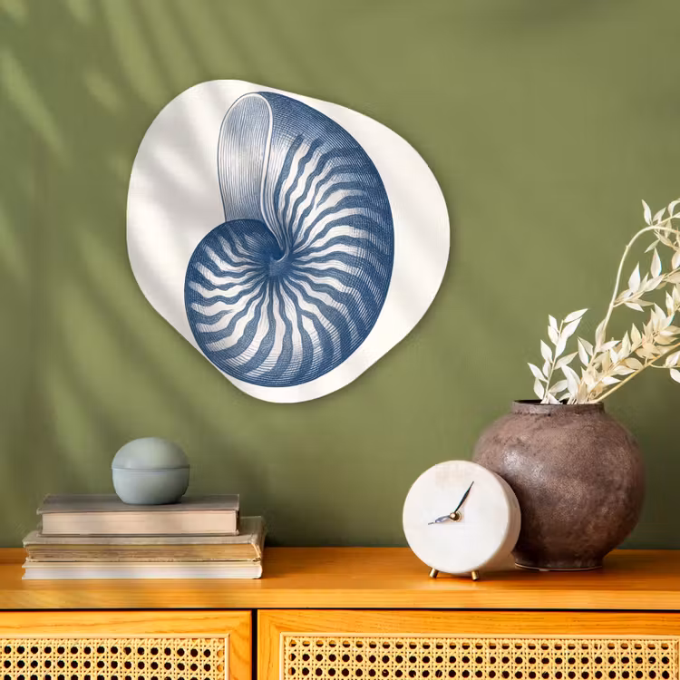 Organisch schilderij - Forex - Blauw - Schelp - Spiraal — 2