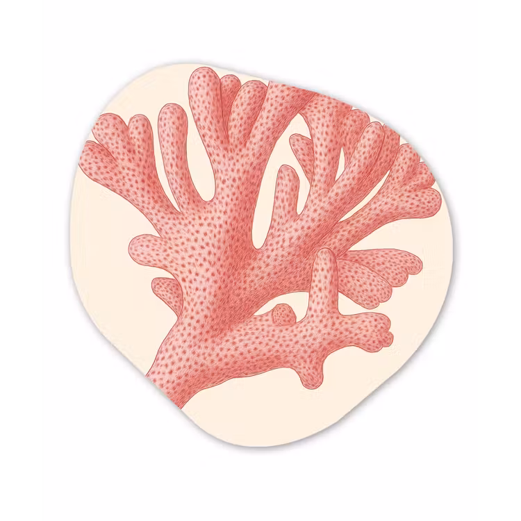 Organisch schilderij - Forex - Koraal - Stipjes - Roze — 1