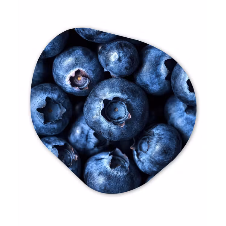 Organisch schilderij - Glas - Bessen - Blauw - Fruit — 1