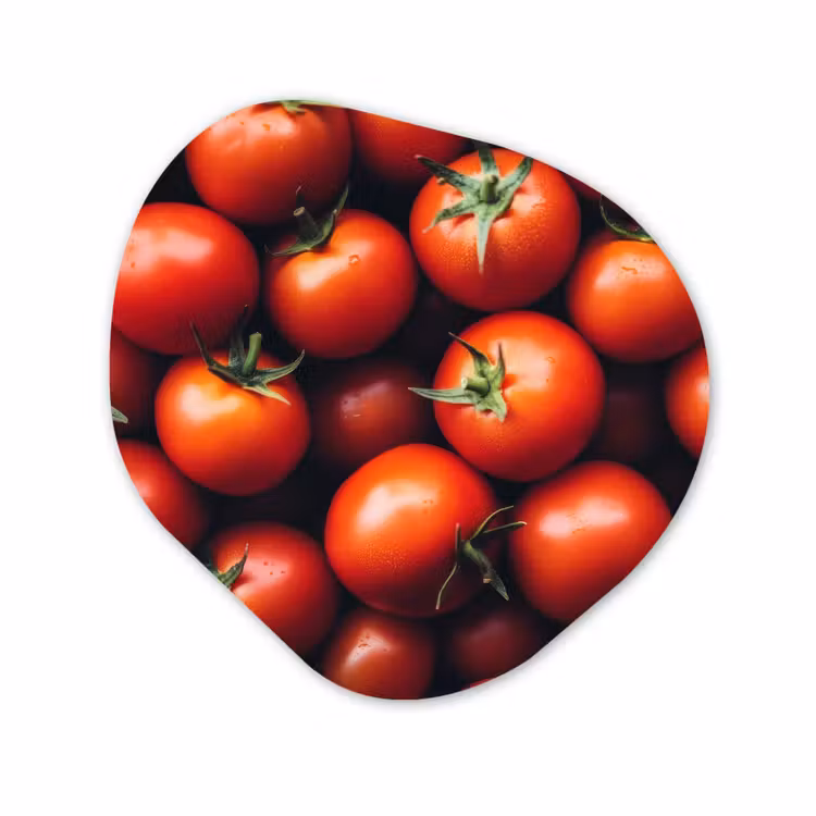 Organisch schilderij - Glas - Groente - Rood - Tomaten — 1