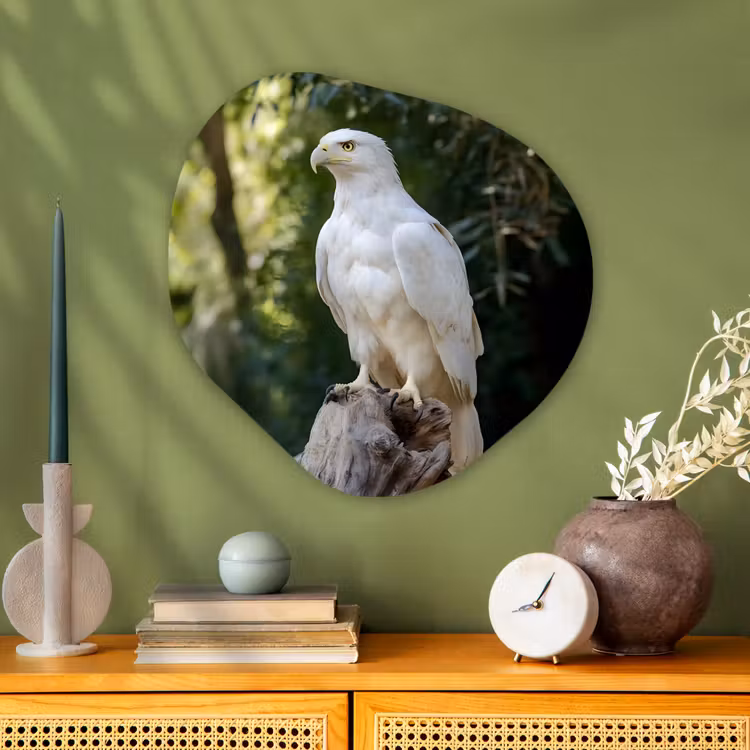 Organisch schilderij - Glas - Arend - Hout - Wit - Planten — 2