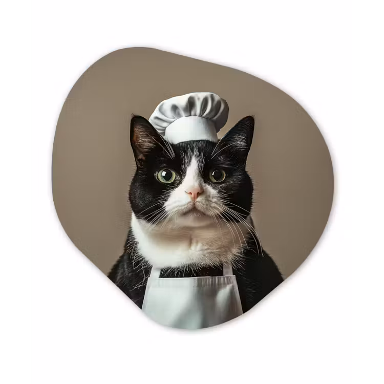 Organisch schilderij - Glas - Kat - Kokskleding - Zwart - Wit — 1
