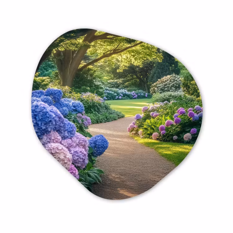 Organisch schilderij - Glas - Hortensia- Park - Pad — 1