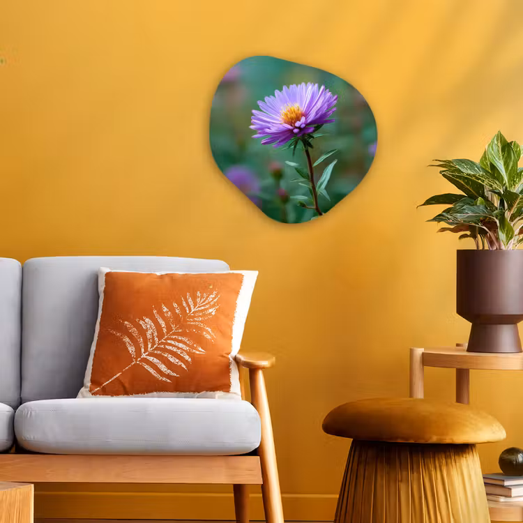 Organisch schilderij - Forex - Aster - Paars - Bloem - Blaadjes — 3