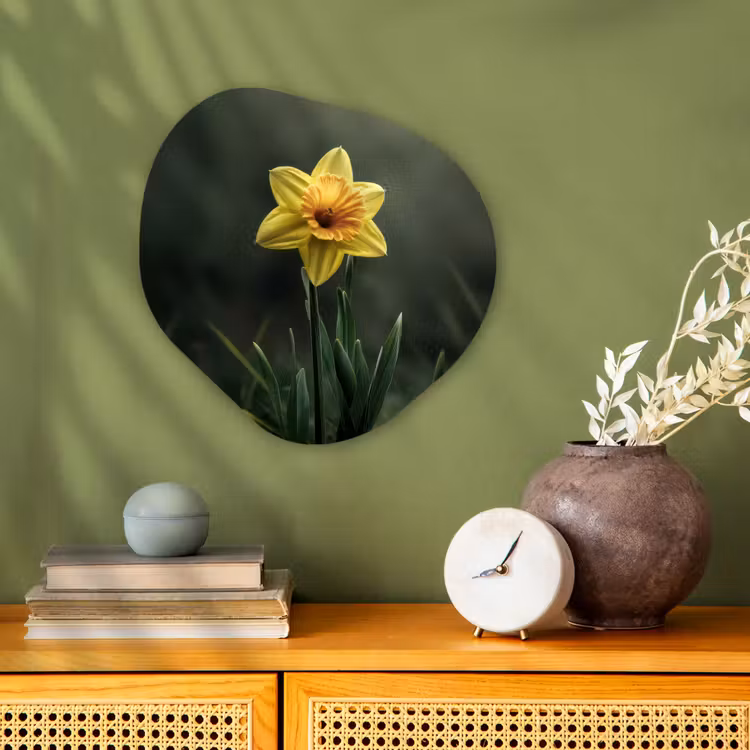 Organisch schilderij - Forex - Bloem - Narcis - Gras - Geel — 2
