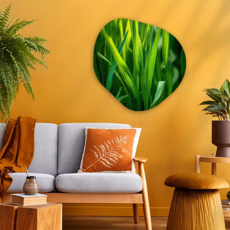 Organisch schilderij - Glas - Grassprieten - Lichtinval - Groen — 3