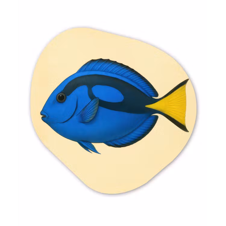 Organisch schilderij - Forex - Blauw - Dory - Vis - Staartvin — 1