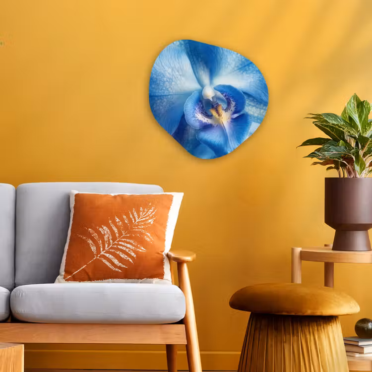 Organisch schilderij - Forex - Blauw - Orchidee - Elegeant — 3