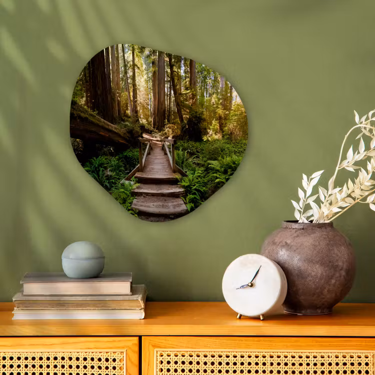 Organisch schilderij - Forex - Jungle - Natuur - Trap - Bomen — 2