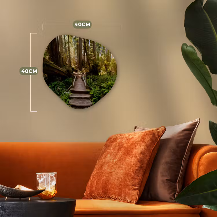 Organisch schilderij - Forex - Jungle - Natuur - Trap - Bomen — 4