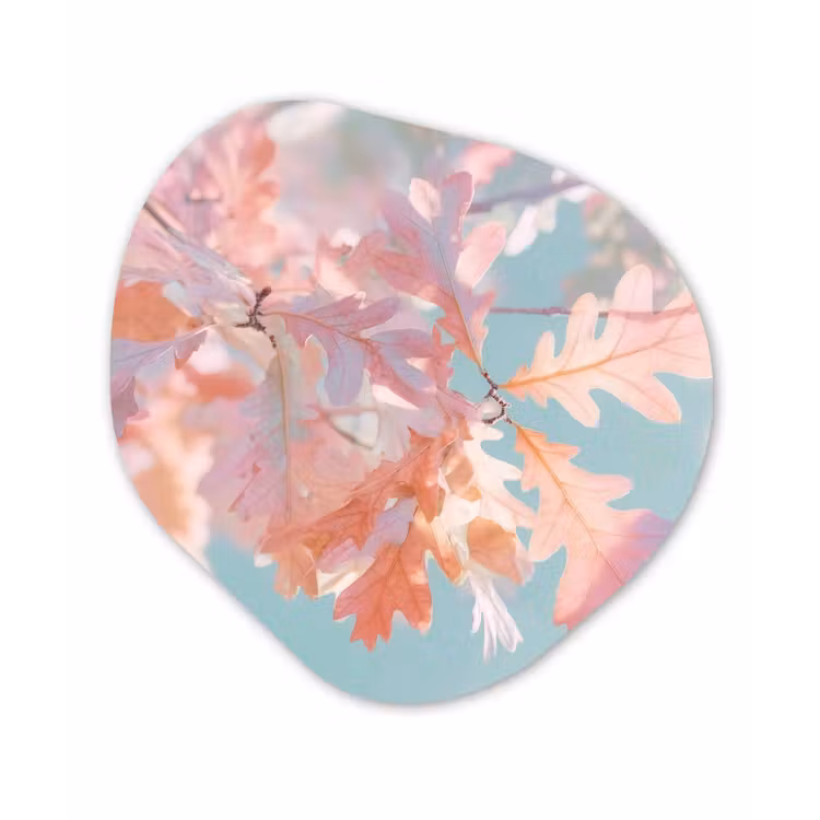 Organisch schilderij - Glas - Eikenbladeren - Takken - Roze — 1