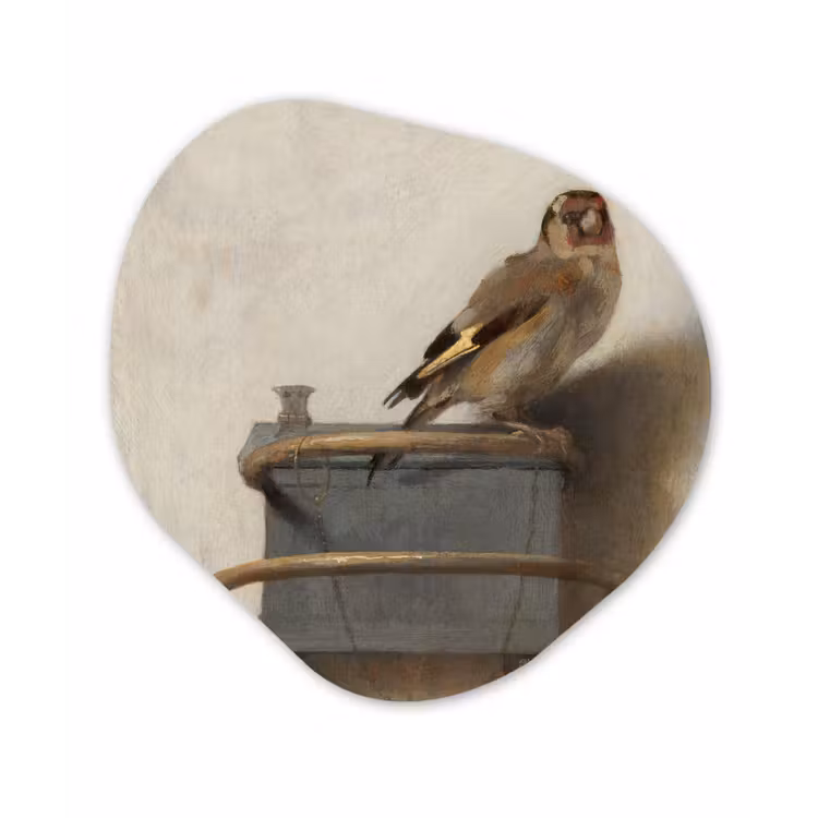 Organisch schilderij - Forex - Het puttertje - Carel Fabritius — 1