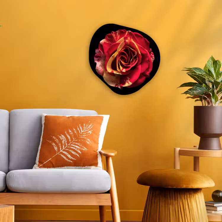 Organisch schilderij - Forex - Bloem - Roos - Rood - Zwart — 3