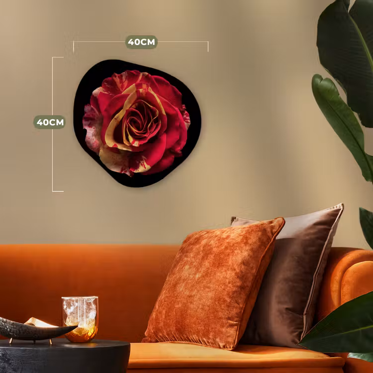 Organisch schilderij - Forex - Bloem - Roos - Rood - Zwart — 4