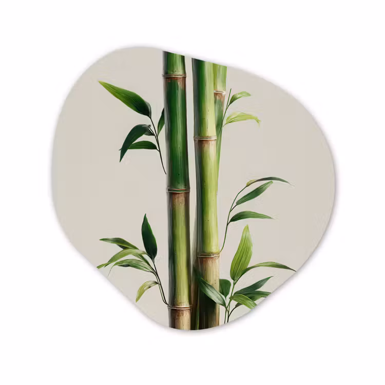 Organisch schilderij - Forex - Bamboestengels - Sierlijk - Groen — 1