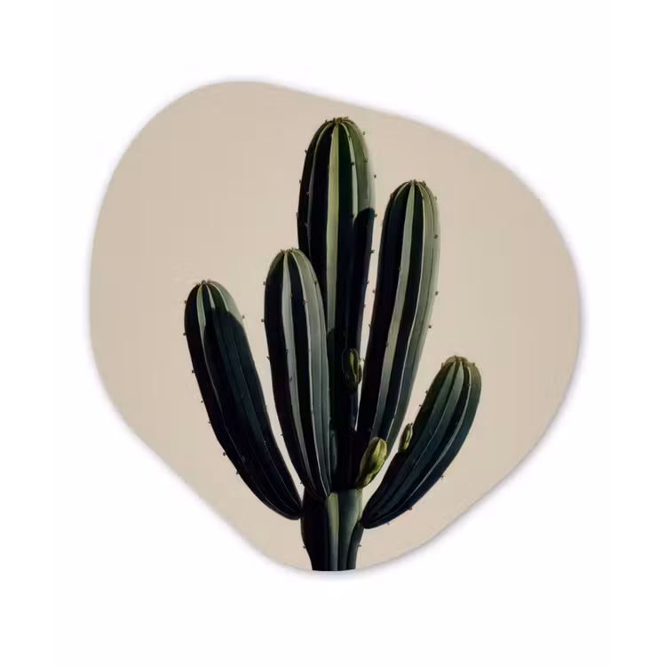 Organisch schilderij - Forex - Cactus - Subtiel - Groen — 1