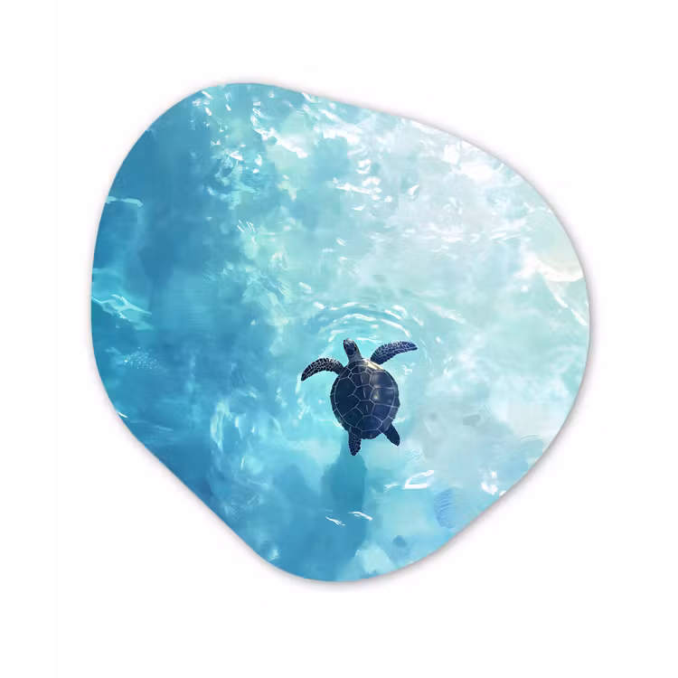 Organisch schilderij - Forex - Schildpad - Zee - Blauw - Schittering — 1