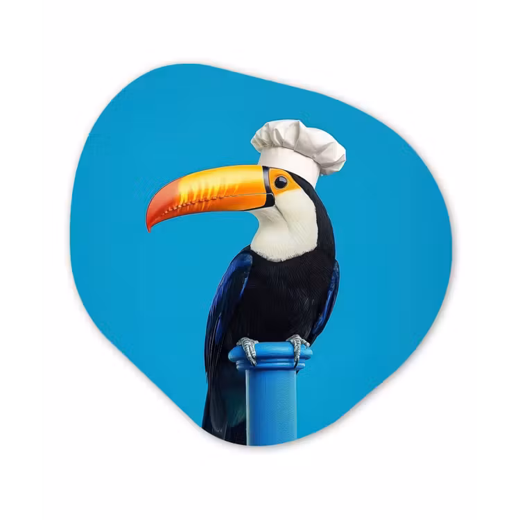 Organisch schilderij - Forex - Tucan - Sokkel - Vogel - Koksmuts — 1
