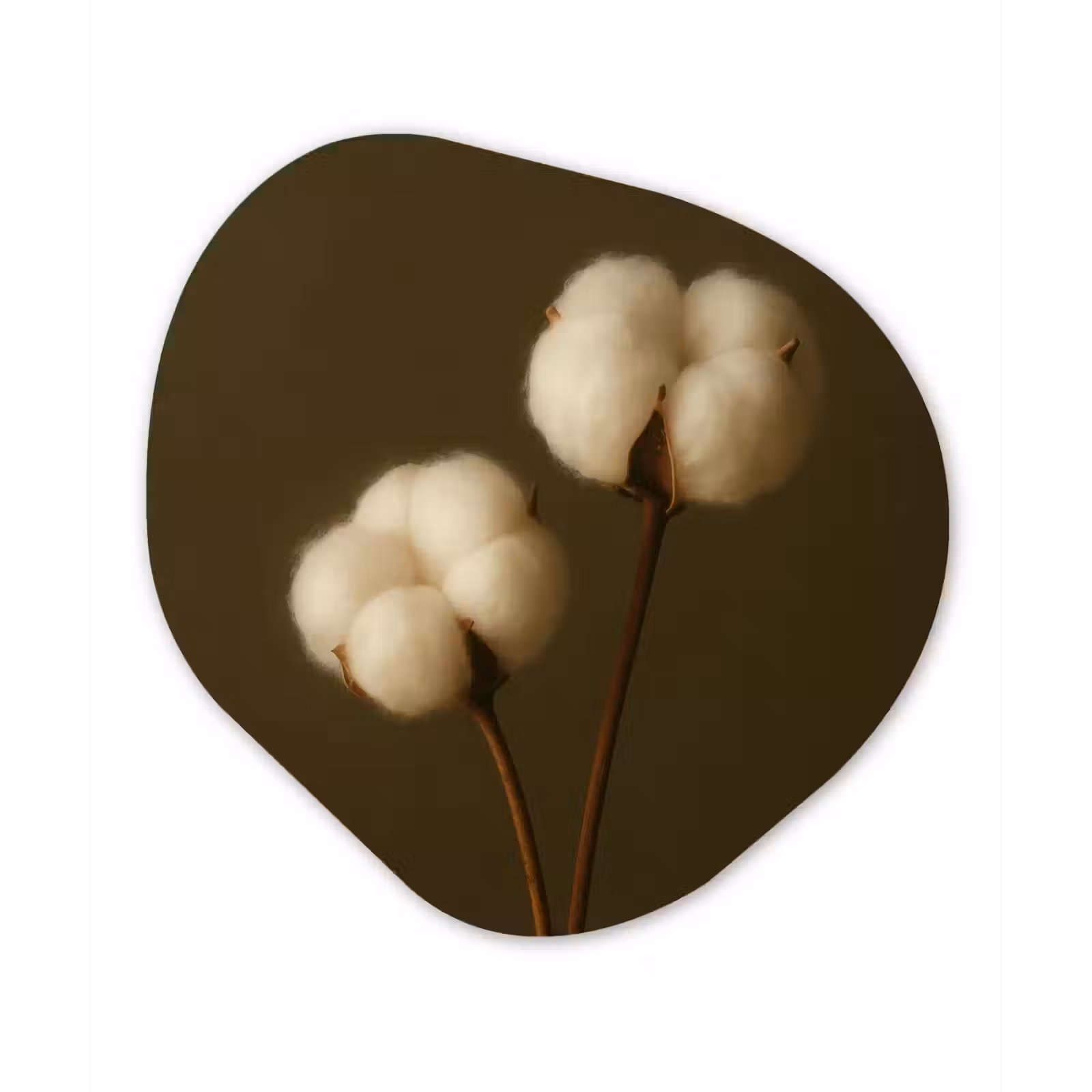Organisch schilderij - Forex - Takken - Katoen - Wit - Bollen — 1
