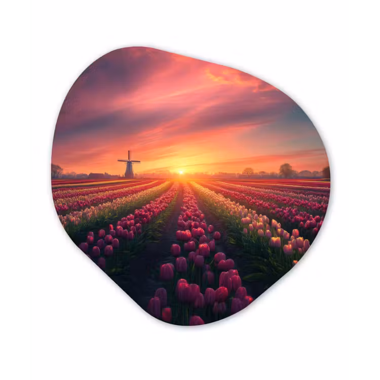 Organisch schilderij - Forex - Windmolen - Zonsondergang - Landschap — 1
