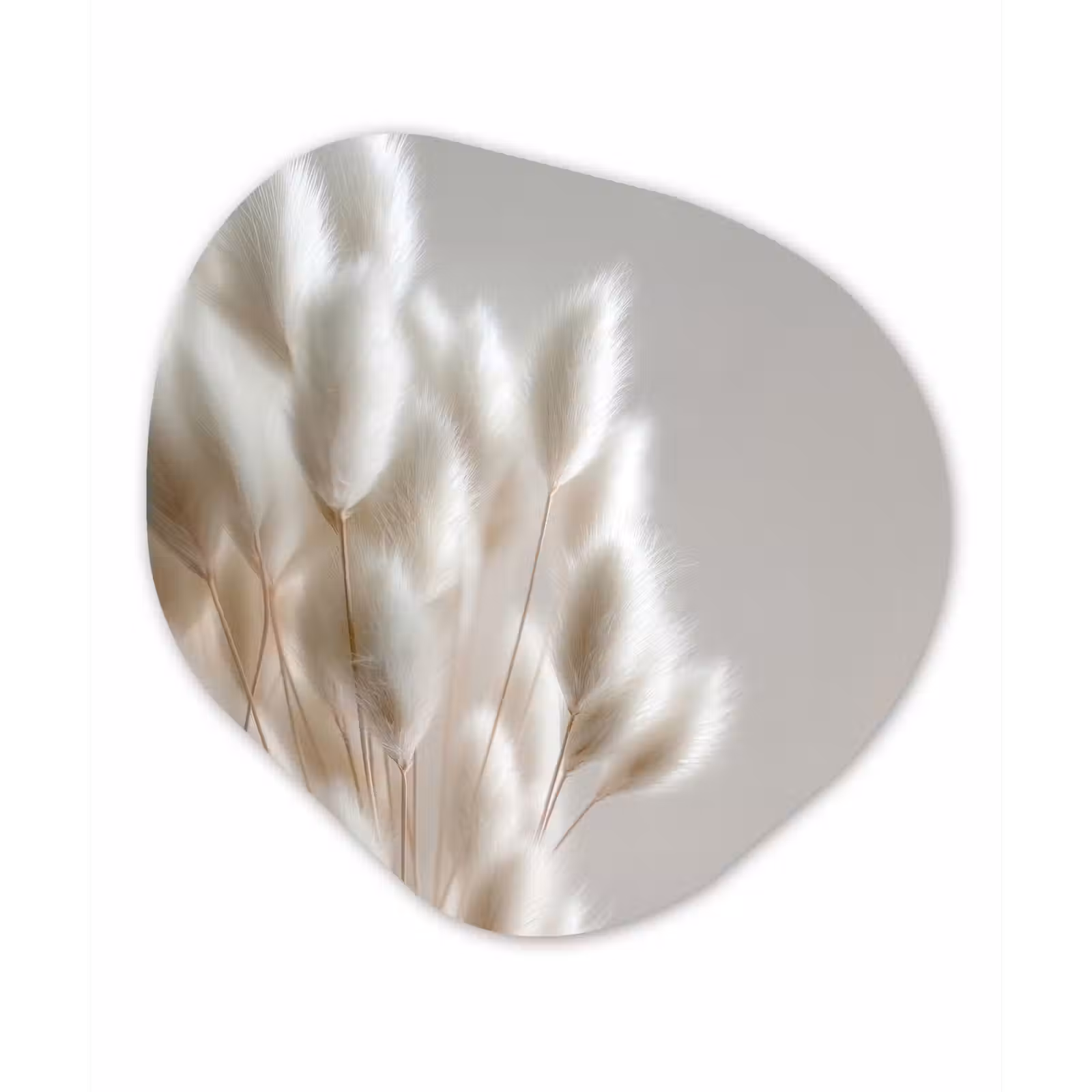 Organisch schilderij - Forex - Pluimen - Beige - Minimalistisch — 1