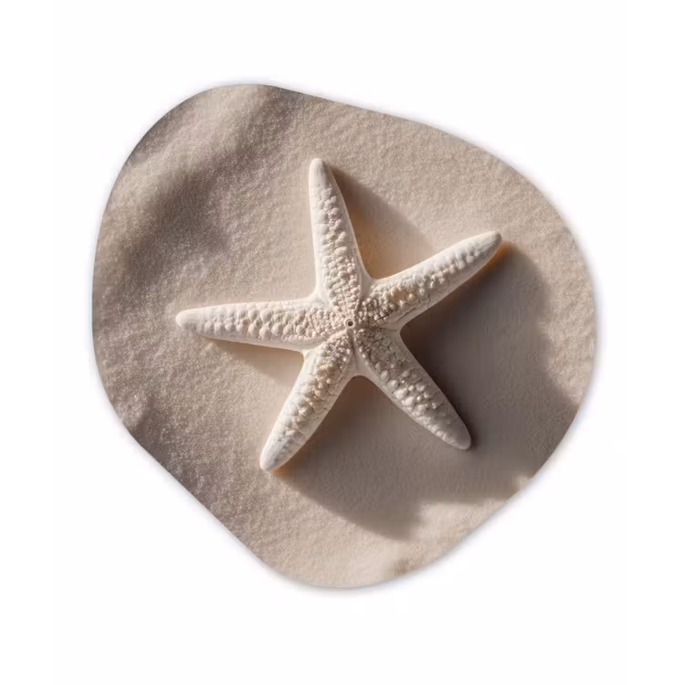 Organisch schilderij - Forex - Strand - Zeester - Zand - Beige — 1