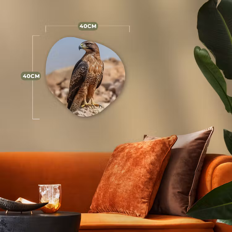 Organisch schilderij - Forex - Valk - Vogel - Rots - Macht — 4