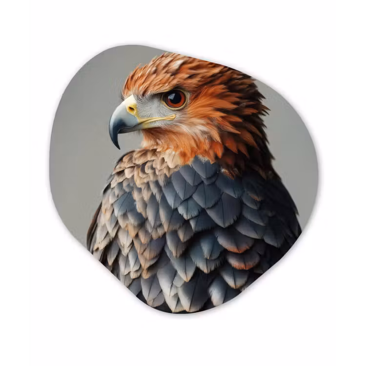 Organisch schilderij - Forex - Vogel - Realistisch - Veren - Bruin — 1