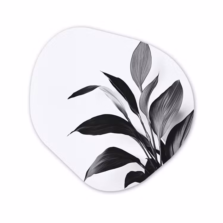 Organisch schilderij - Forex - Plant - Bladeren - Minimalistisch - Zwart — 1